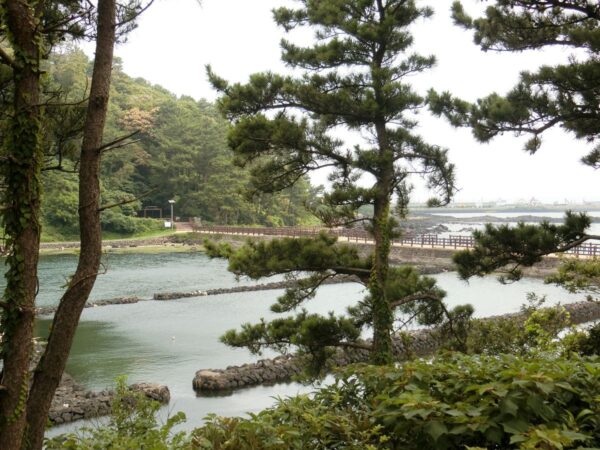 済州島のオジョポ