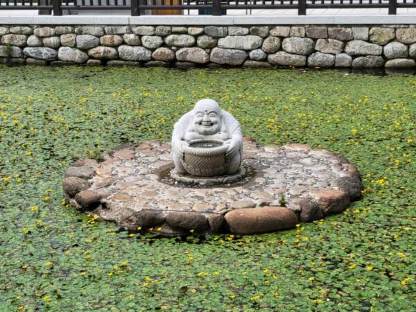 洛山寺の観音池