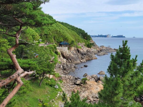 洛山寺の義湘台から見た紅蓮庵