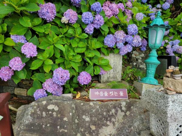 洛山寺にある「心を洗う水」