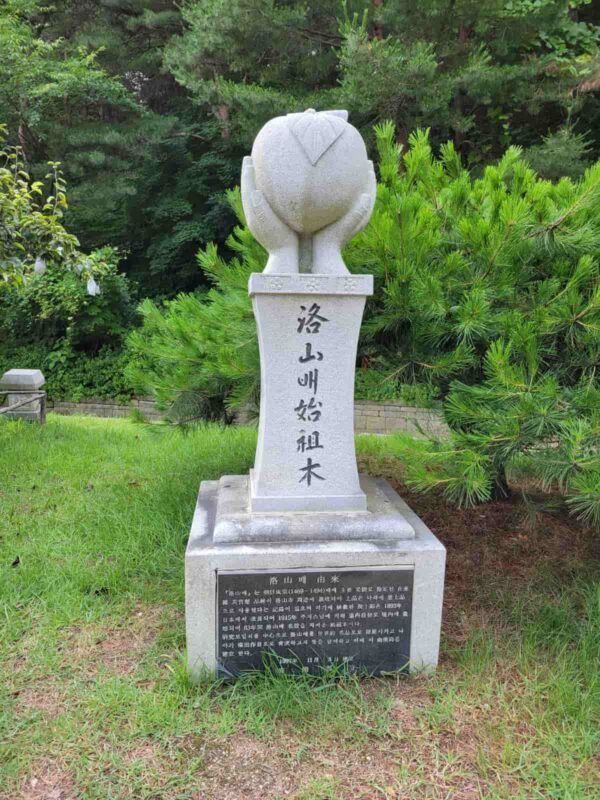 洛山寺にある洛山梨の始祖木の碑