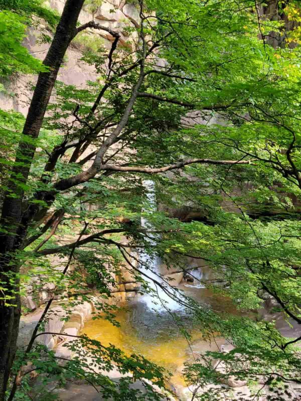 武陵渓谷の龍湫瀑布