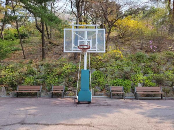 青瓦台の敷地内にあるバスケットゴール
