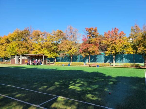 紅葉したソウルの森