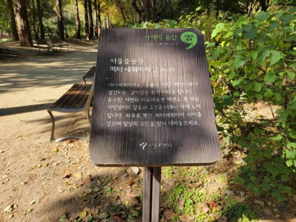 ソウルの森のメタセコイア並木道