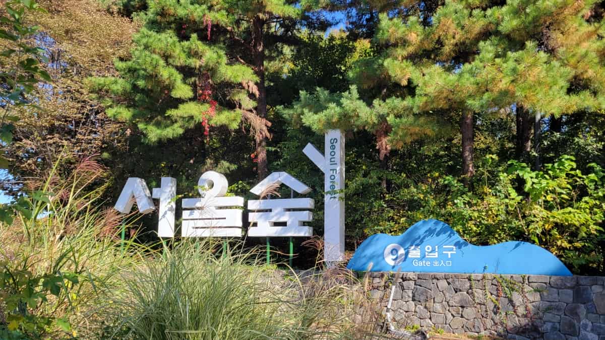 ソウルの森の9番入口