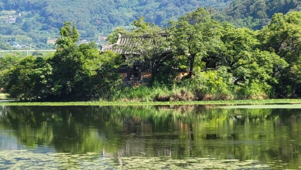 ドラマ「麗」のロケ地である位良池の完在亭