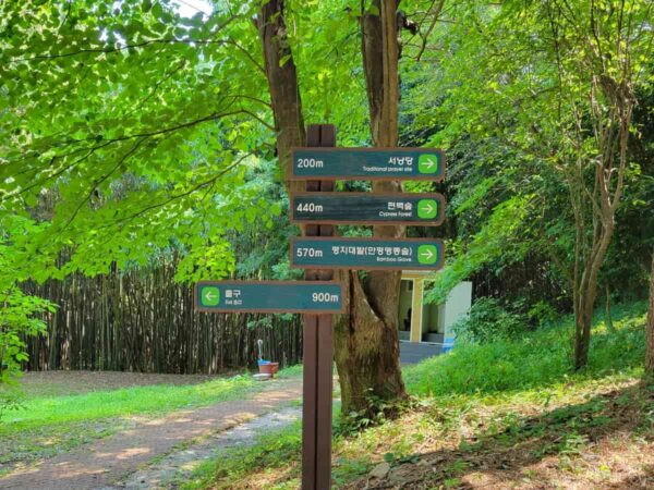 釜山のアホッ山の森