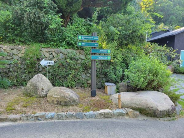 釜山のアホッ山の森
