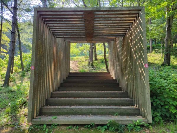 釜山のアホッ山の森