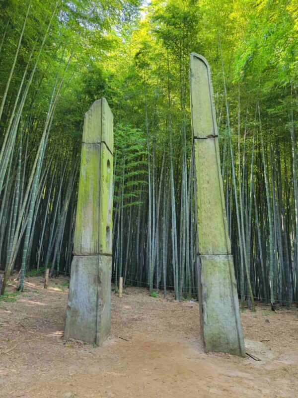 韓国ドラマ「ザ・キング：永遠の君主」や映画のロケ地である釜山のアホッ山の森